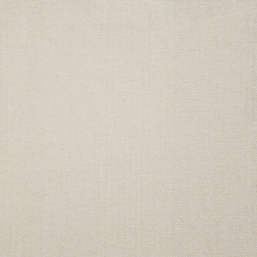 Panda-# 311 cream