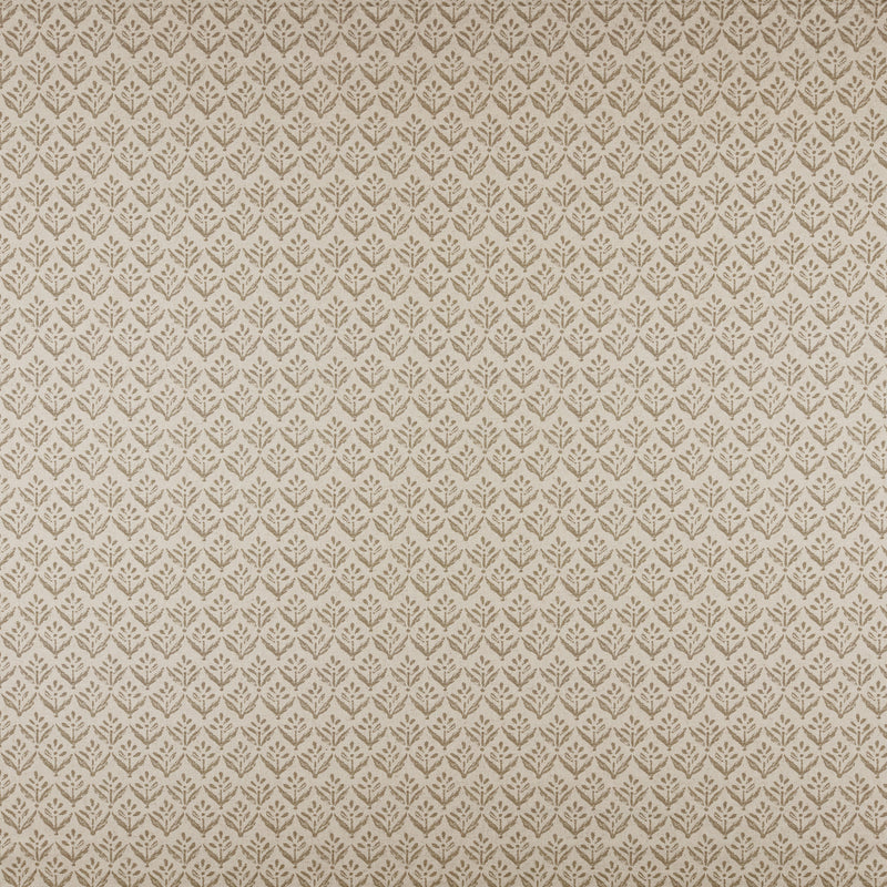 Aster-# 544 linen