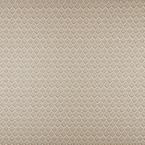 Aster-# 544 linen