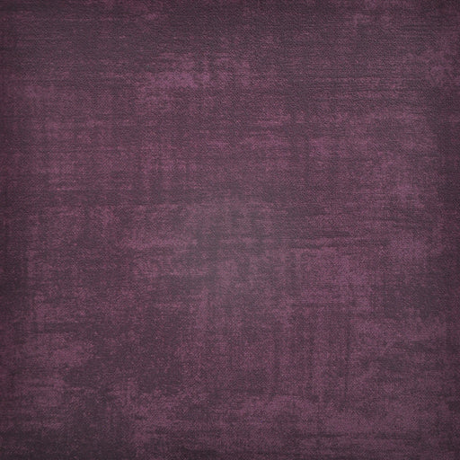 Carlotta-# 755 plum