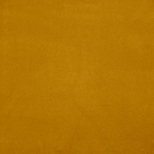 Vera-# 731 oro