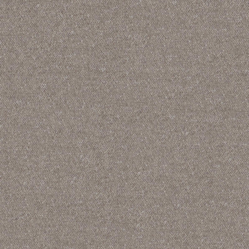 Calabria-# 456 titanium