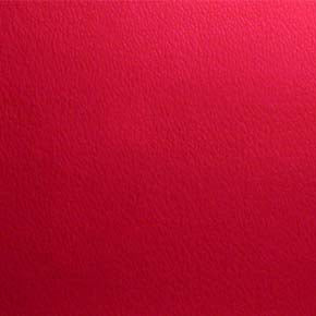 Esprit-# 071 tomato