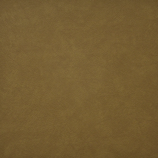 Hidalgo-# 725 honey