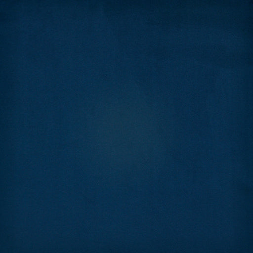 Bacall-# 749 neptune