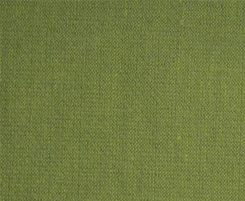 Vibe-# 012 grasshopper