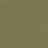 Catalyst-nj - # 530 sage- Maxwell Fabric By The Yard