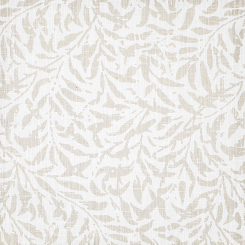 Ingleby-# 513 sand dollar