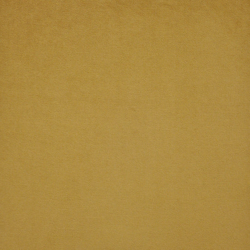Roosevelt-# 720 saffron