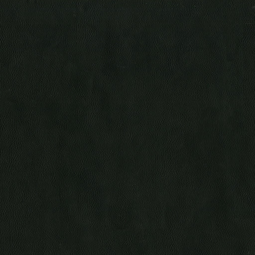 Jackson-# 640 onyx