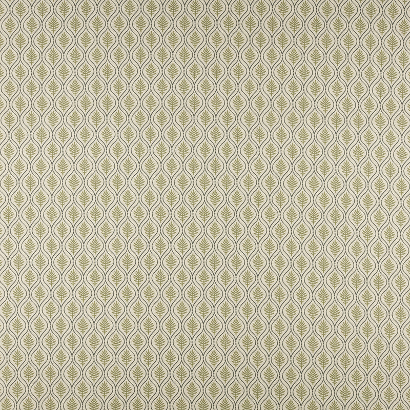 Birch-# 505 olive