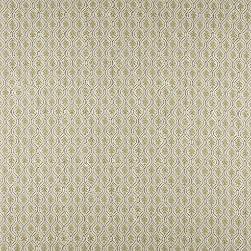 Birch-# 505 olive
