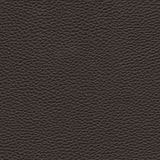 Tebessa-nj - # 147 star anise- Maxwell Fabric By The Yard