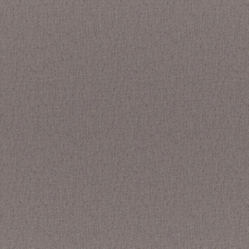Bruno-# 249 iron