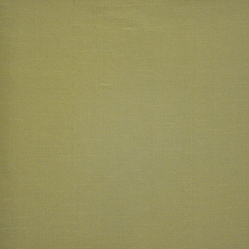 Apollonia-# 579 macintosh