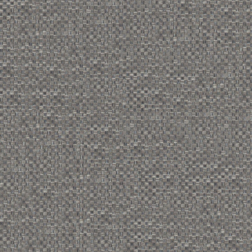 Swift-# 981 pepper