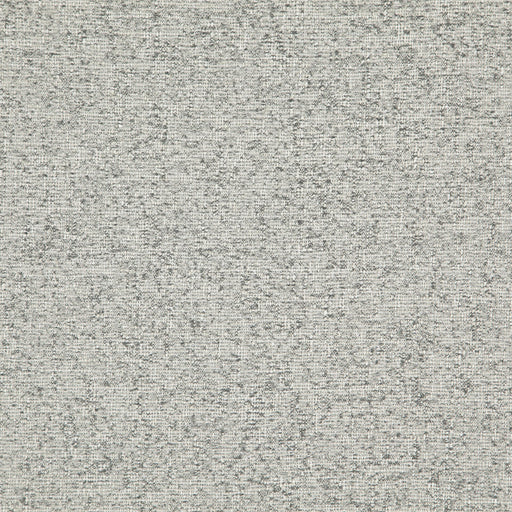 Space race-# 511 gull