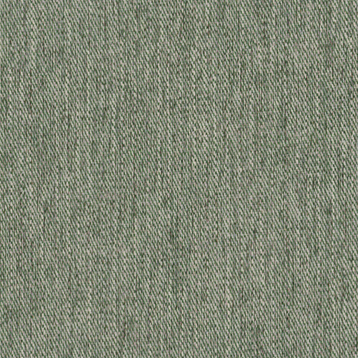 Well dressed-# 1014 hedge