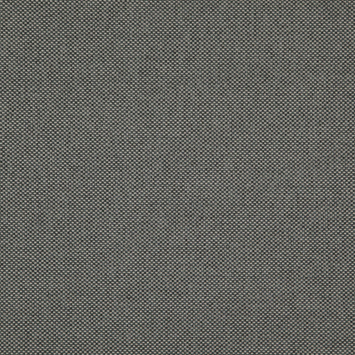 Light year-# 206 graphite