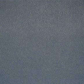 Esprit-# 010 blue ridge