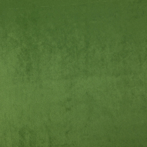 Zurich-# 27 leaf