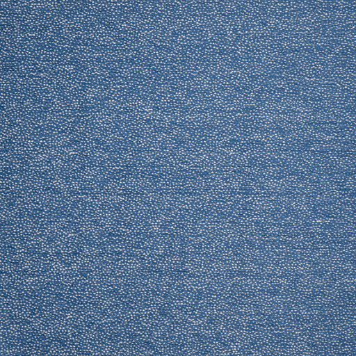 Dolcetto-# 612 cerulean