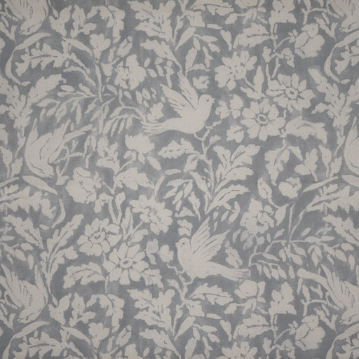 Turtledove-# 404 slate