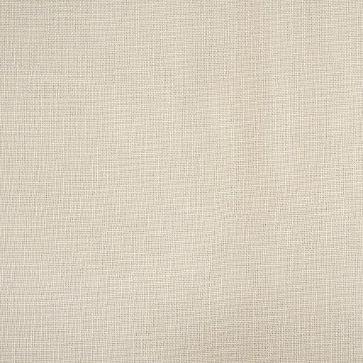 Pitt-# 339 feather