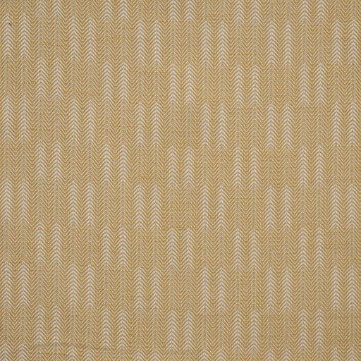 Conifer-# 707 butterscotch