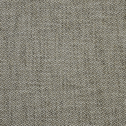Craftsman-# 802 bark
