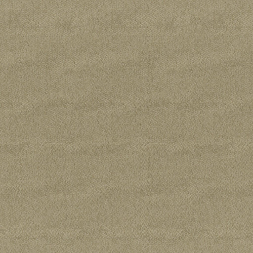 Bruno-# 213 dune