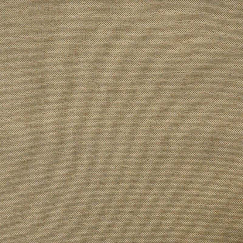 Hollis-# 808 sand dollar