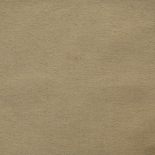 Hollis-# 808 sand dollar