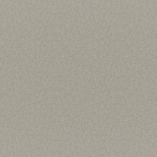 Patagonia-# 216 rattan