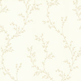 Milton (wp) - # 03- Maxwell Wallpaper By The 11 Yard Roll