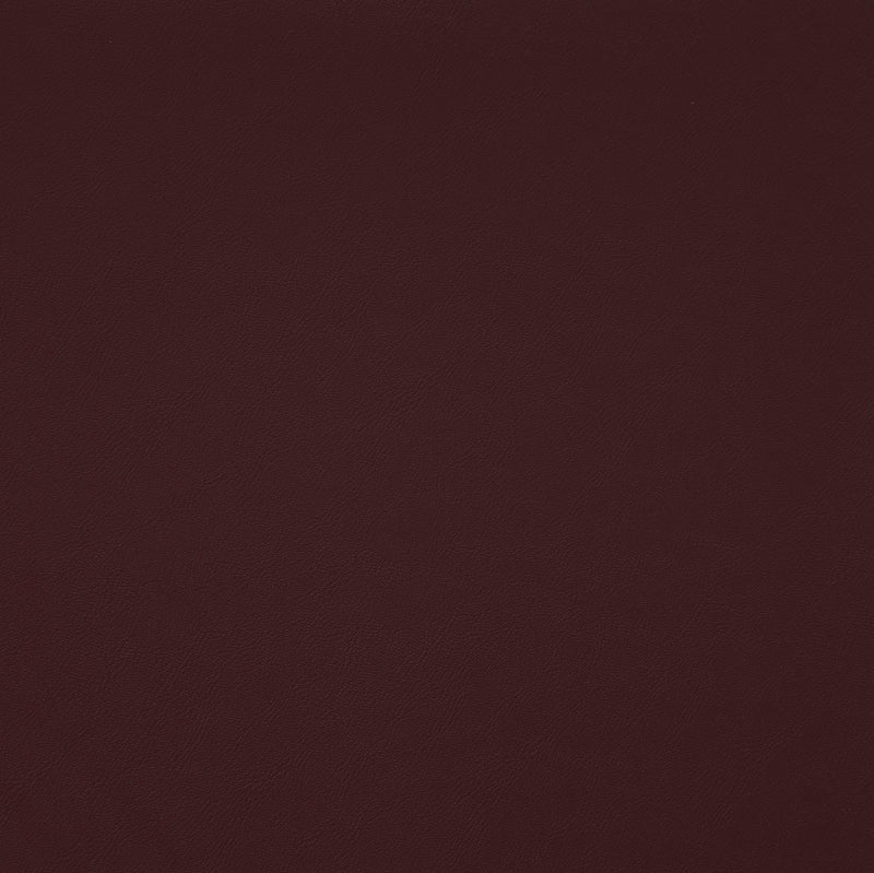 Trailrider-# 105 raisin