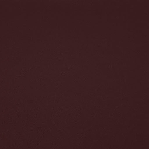 Trailrider-# 105 raisin