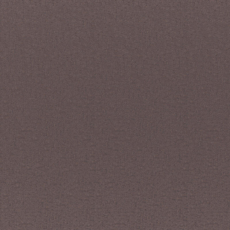 Cadenza-# 797 fossil