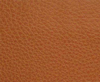 Canyon(contract vinyl)-# 009 pumpkin