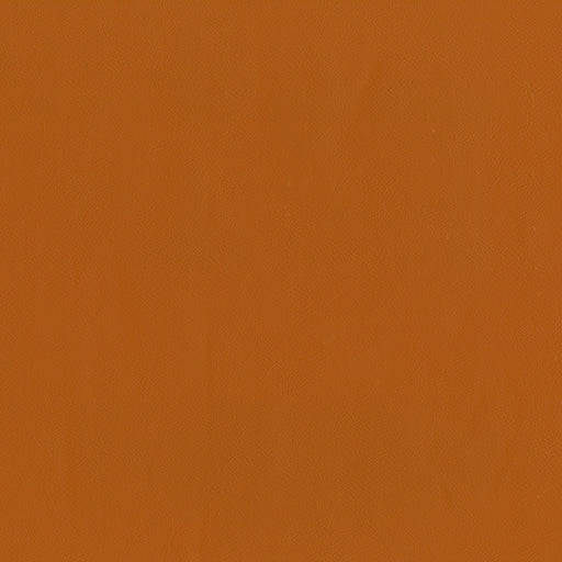 Jackson-# 612 spice