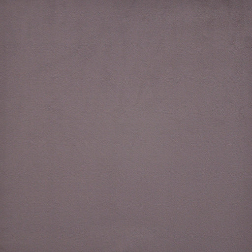Novarro-# 753 lavender