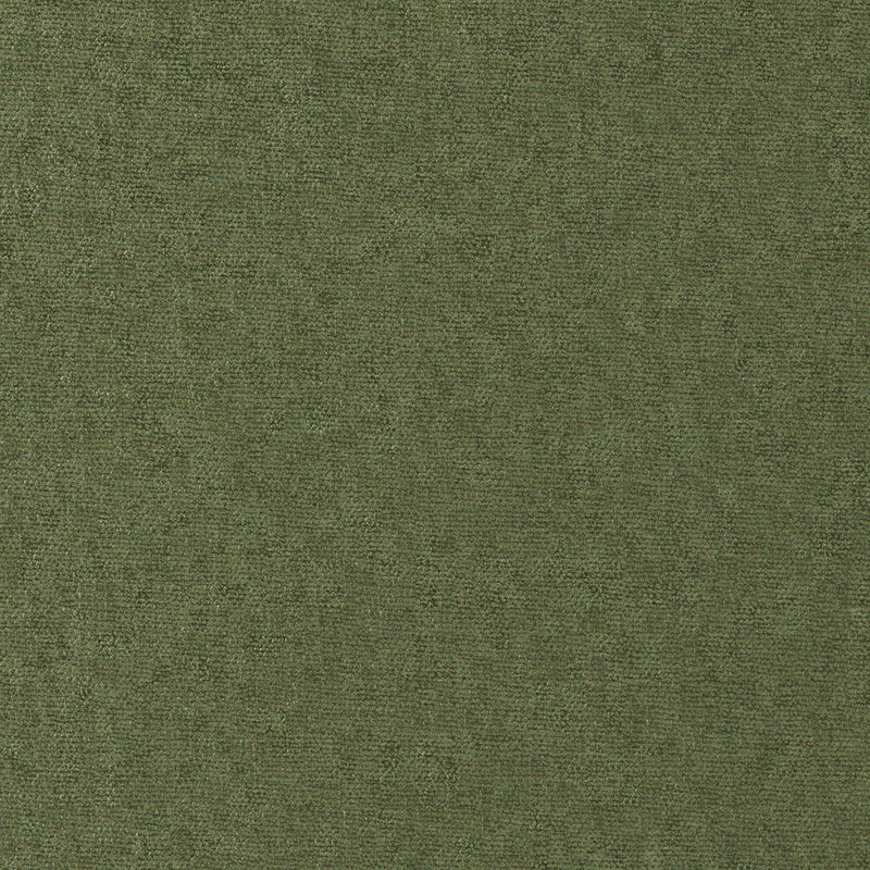 Conte-# 815 pesto