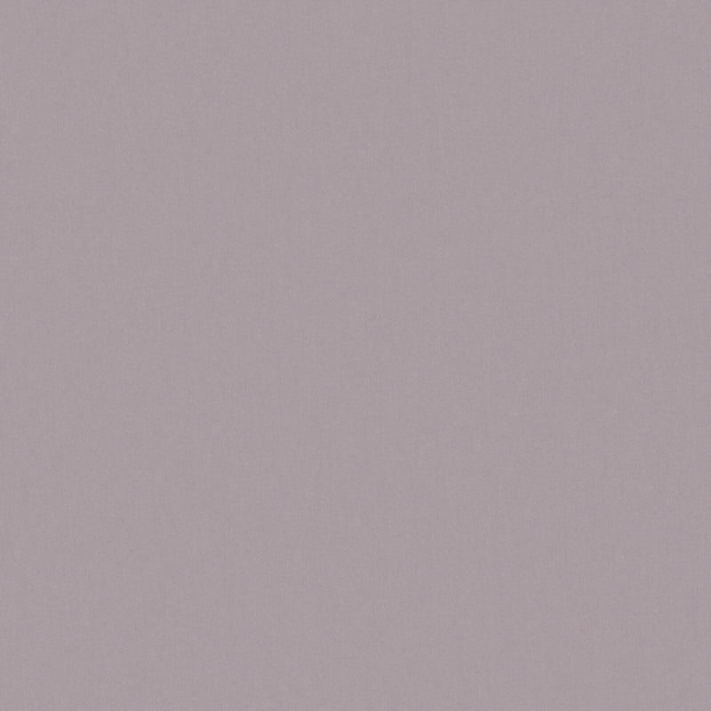 Zaitun-# 536 plum