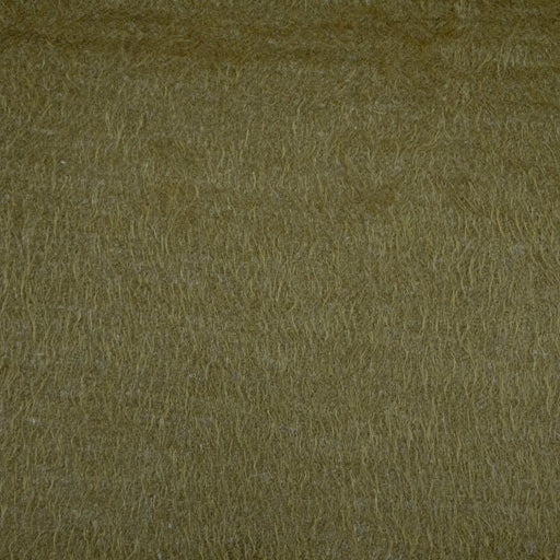 Valli-# 606 fern