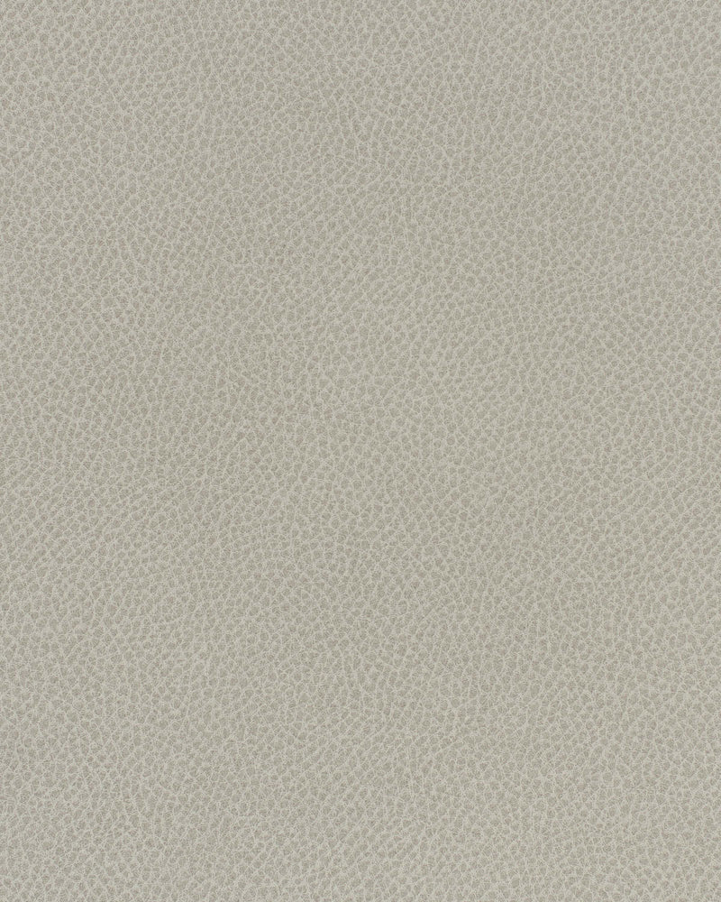 Scene-# 705 sediment