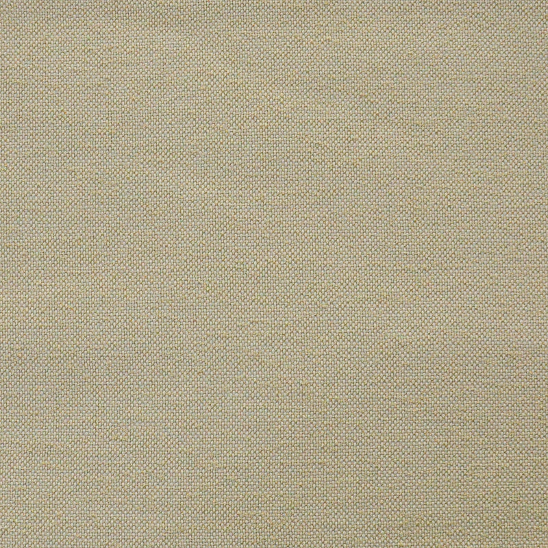 Hollis-# 806 parchment