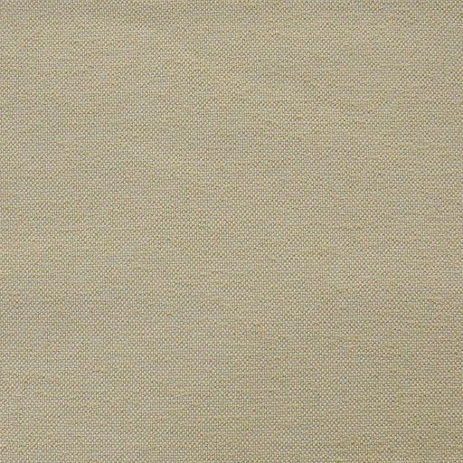 Hollis-# 806 parchment