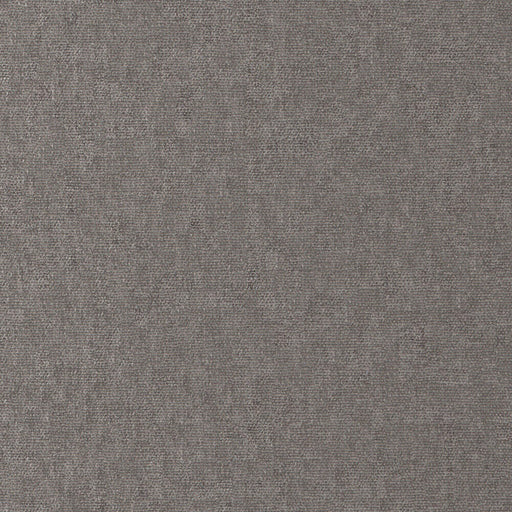 Conte-# 921 wolf