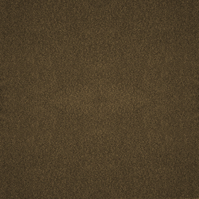 Biella-ess-# 209 kelp
