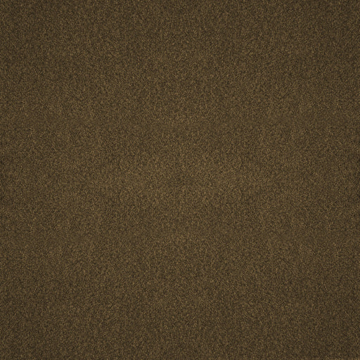 Biella-ess-# 209 kelp